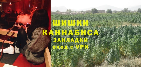 хмурый Алзамай