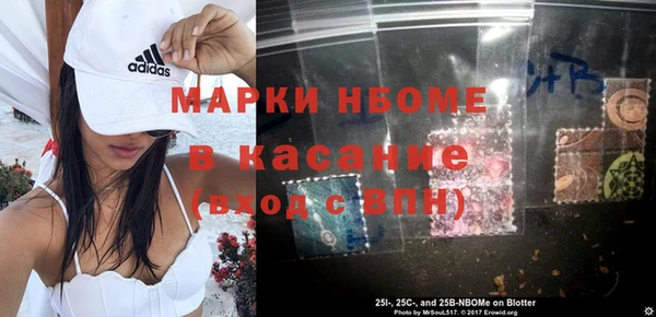 хмурый Алзамай