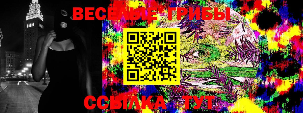 Галлюциногенные грибы Cubensis Кыштым