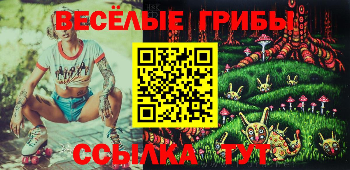 Псилоцибиновые грибы MAGIC MUSHROOMS  продажа наркотиков  Кыштым  Вход с VPN  Псилоцибиновые грибы GOLDEN TEACHER 